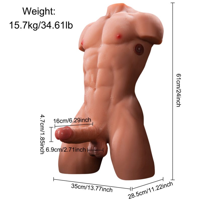 Male torso sex doll with comprehensive dimensions and weight.