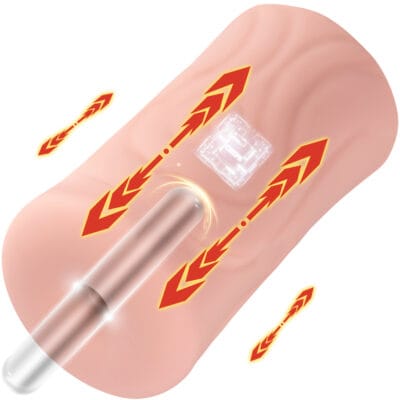 A diagram of the electronic chip and a shaft inside the masturbator.