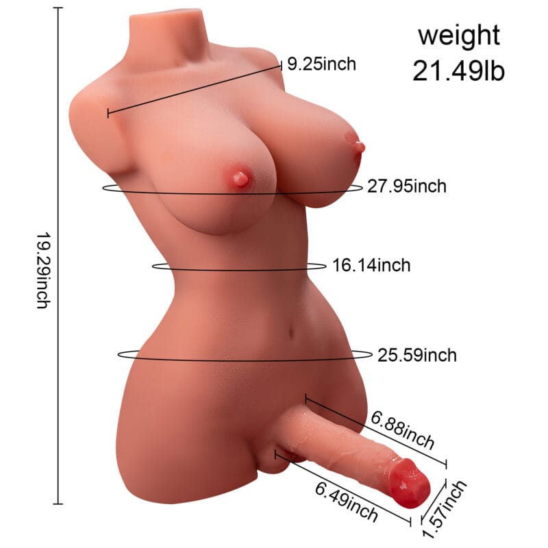 A diagram of the torso showing its dimensions in inches and its weight.